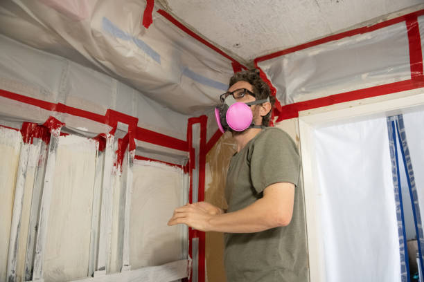 Best Residential Mold Inspection & Testing  in USA